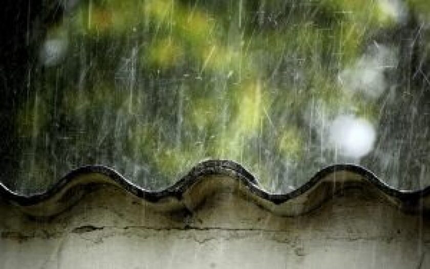 lluvias-campo2-300x188.jpg
