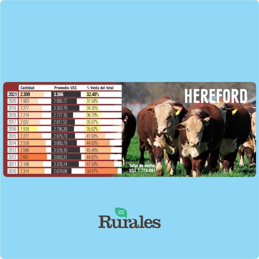 Hereford.jpg