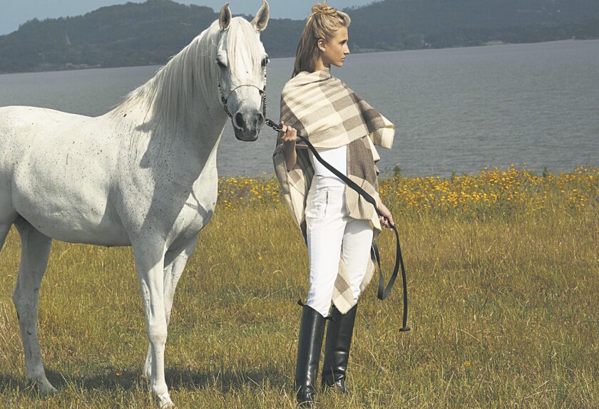 caballos-arabes.jpg