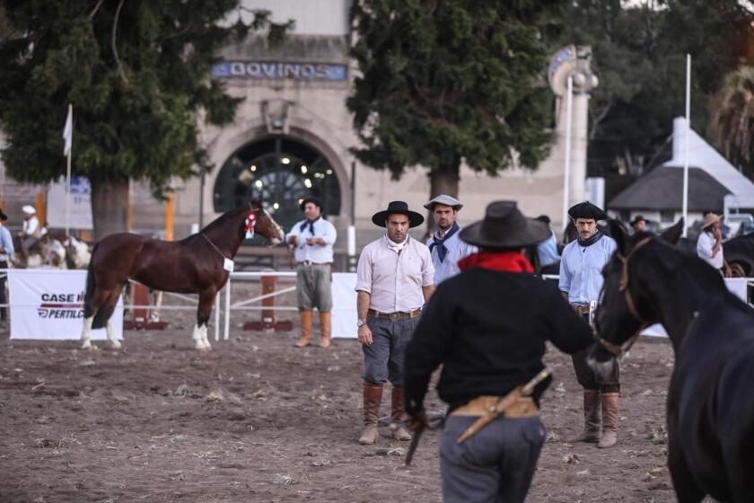 Germán Sapelli jurando Criollos.jpg