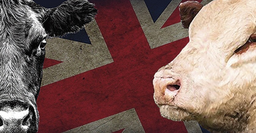Britanicas.jpg