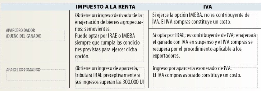 cuadro 2 .jpg