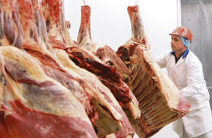 CARNE