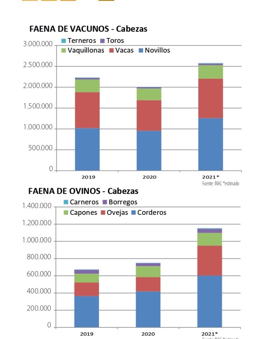 faena 1.jpg