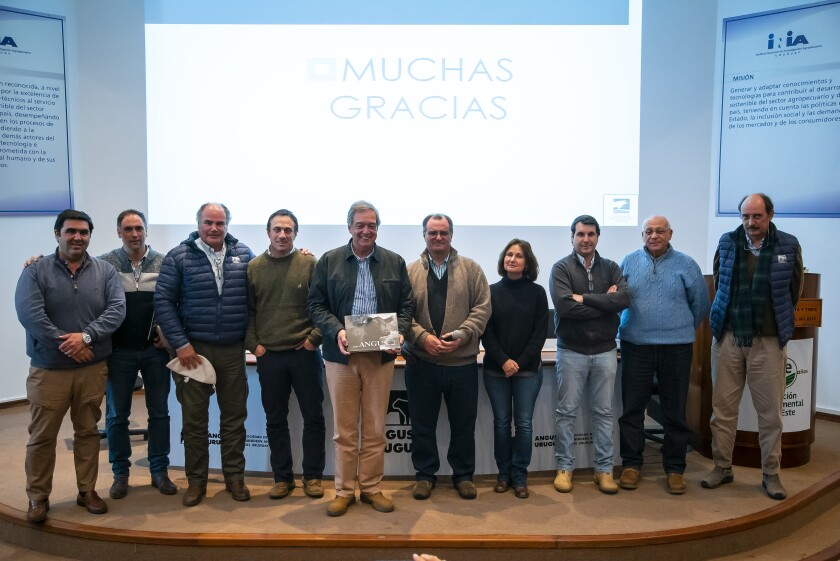 XIII Jornada de Selección Angus