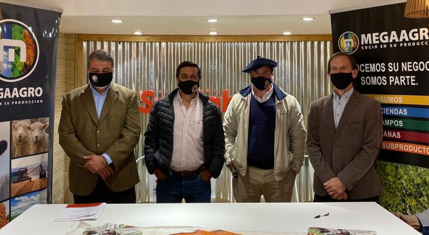 previa-bonomi.jpg
