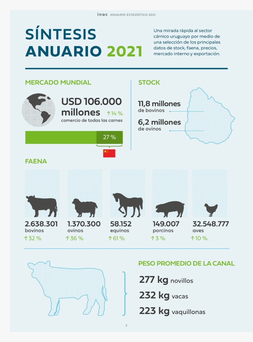 Sintesis anuario 2021