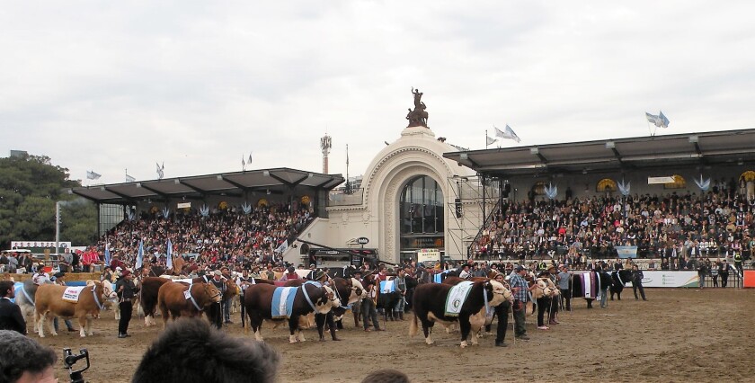 expo-palermo.jpg