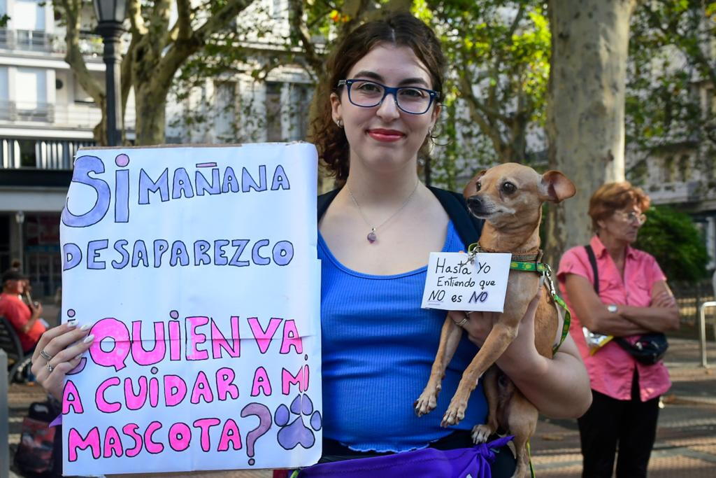 Carteles y proclamas, hasta portadas por mascotas en la marcha del 8M