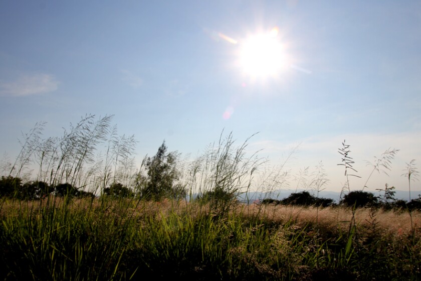 sol-campo-calor.jpg