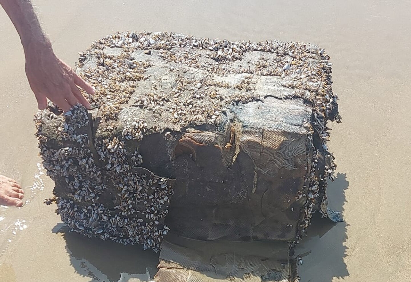 Bloque de caucho.jpg