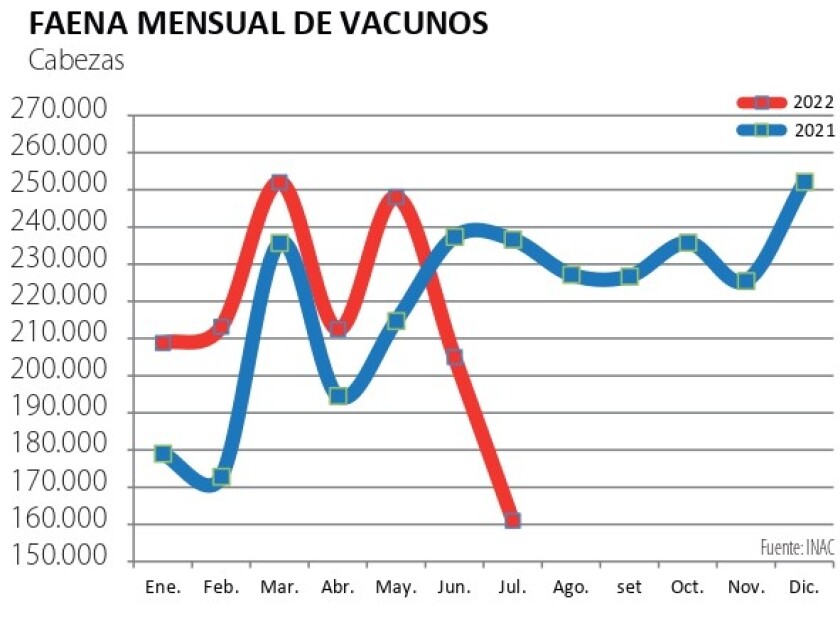 feria vacunos.jpg