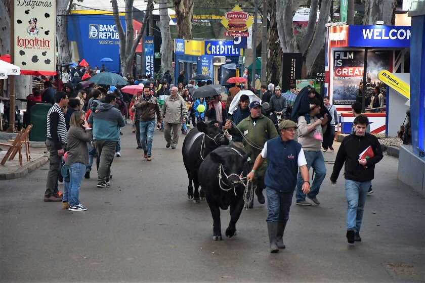 aabf7fd1-cd65-443f-93c7-78918ba1e8ac.jpg