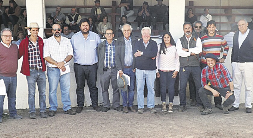 imagen-toros-garantidos.jpg