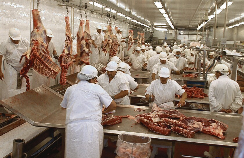 Carne