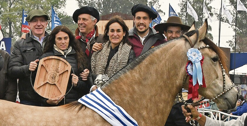 cordero.jpg