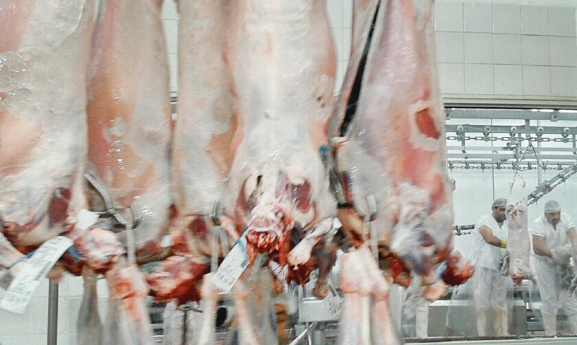 foto-carne-ovina.jpg