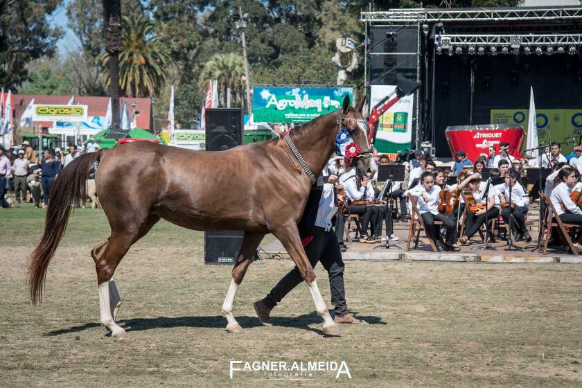 aglaia-att-prado-2015.jpg