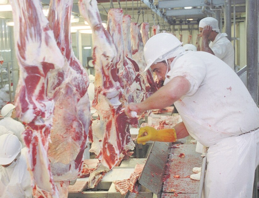 Carne
