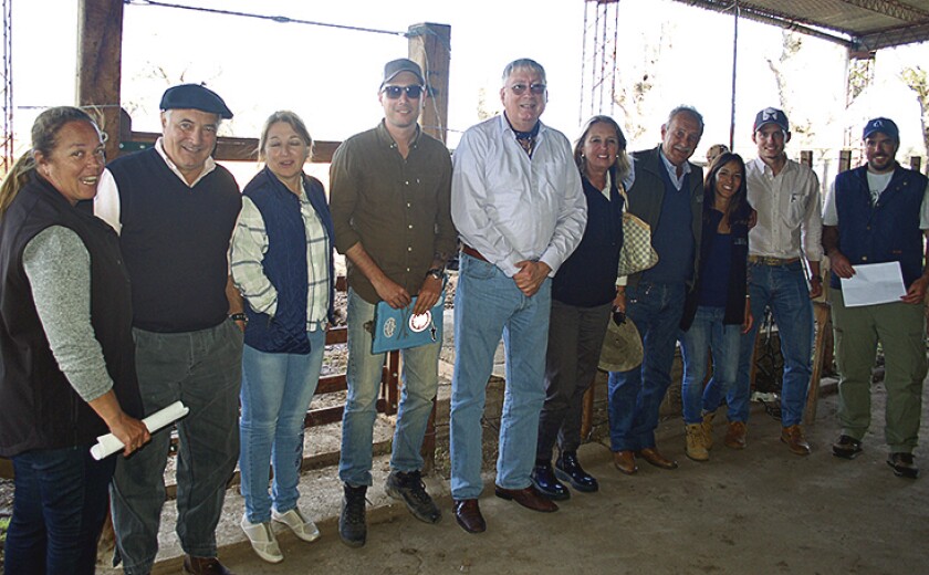 pages-san-gregorio.jpg