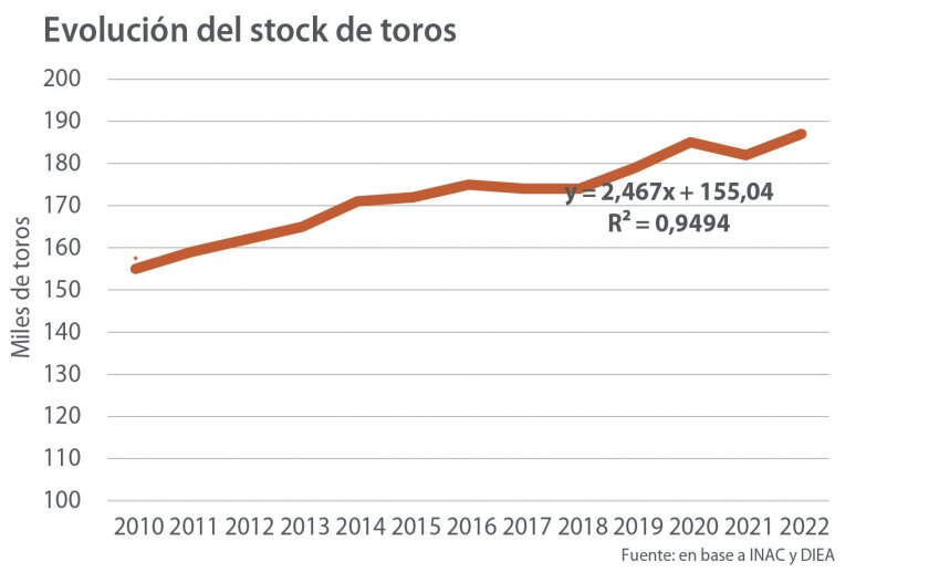 Evolución stock de toros