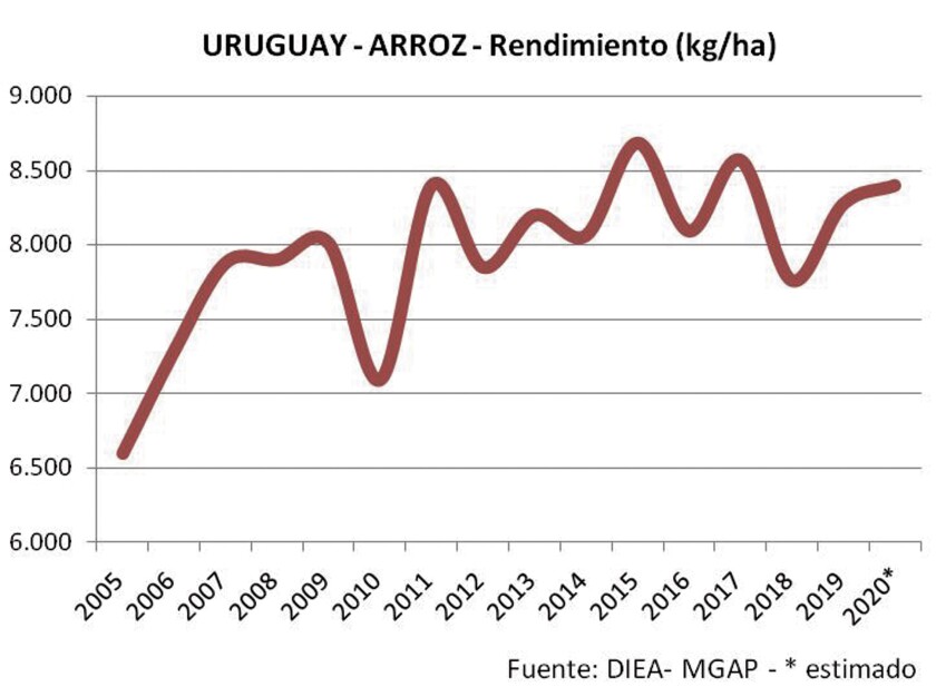 uruguay-arroz.jpg