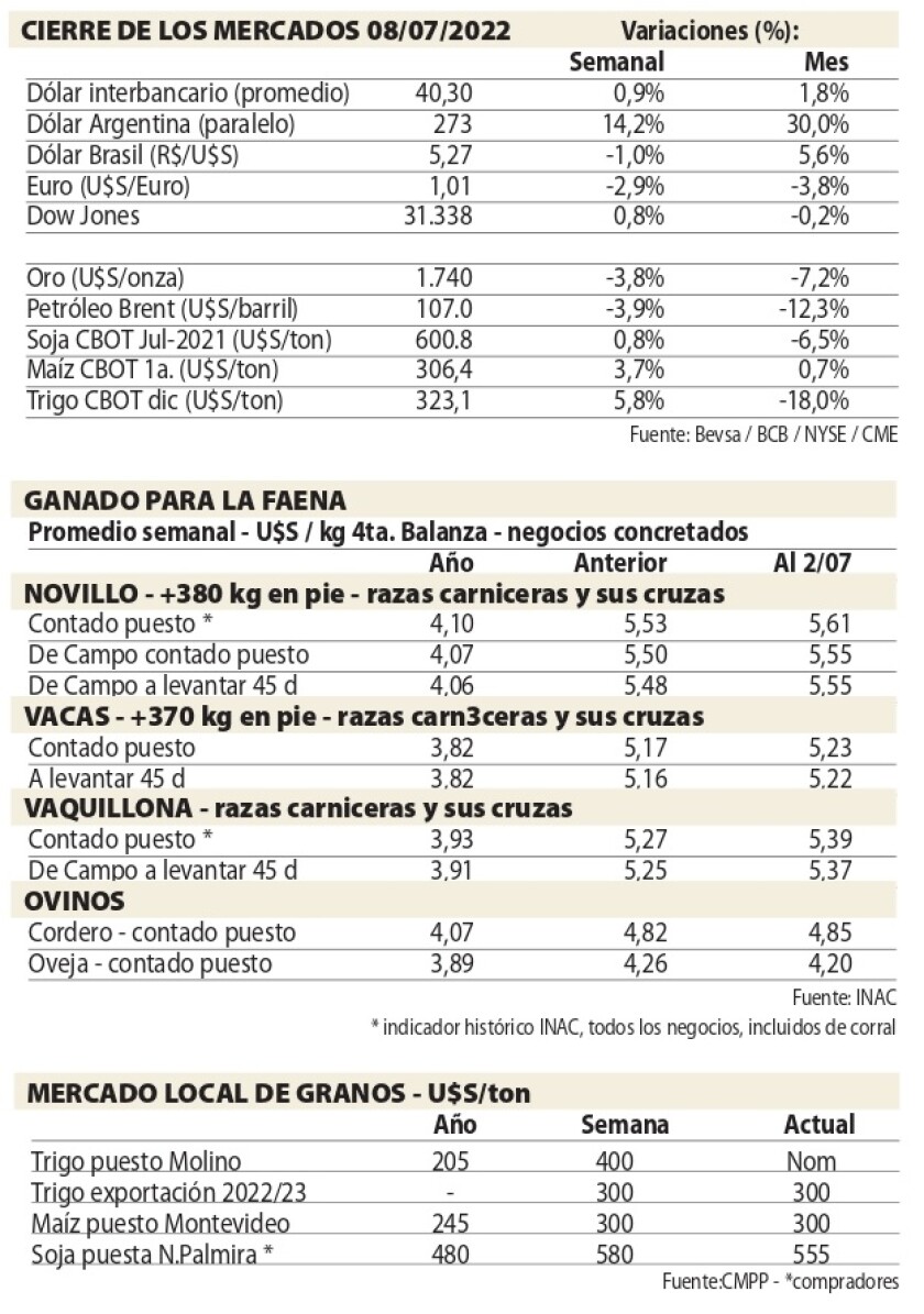 CUADRO NCL.jpg