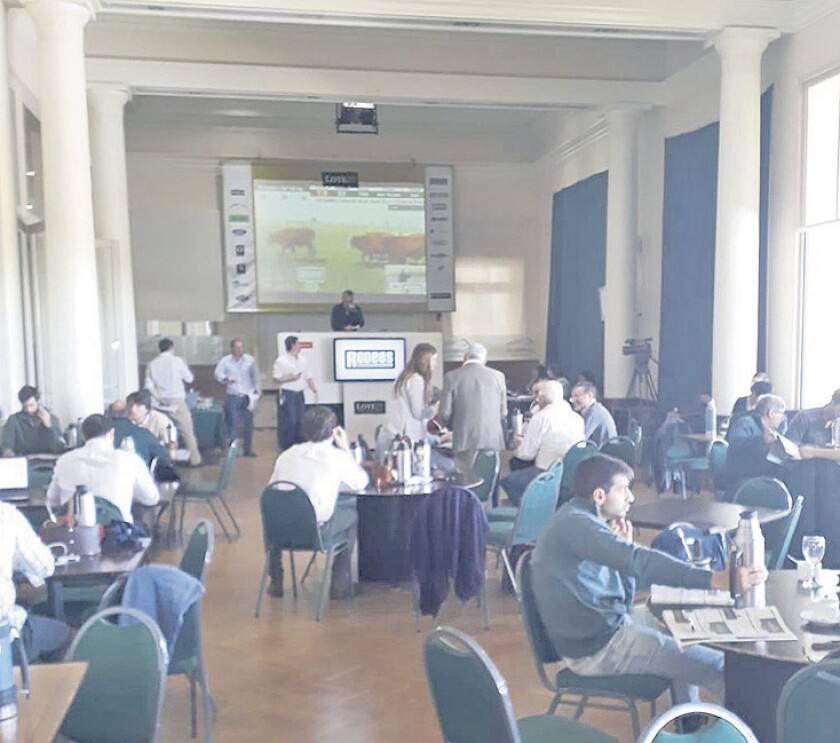 imagen-lote-21.jpg
