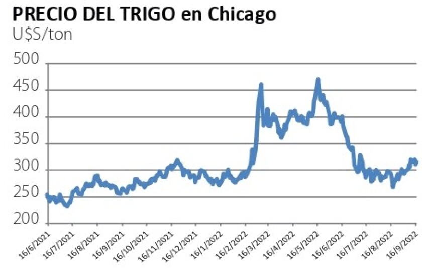 precio del trigo en chicago.jpg
