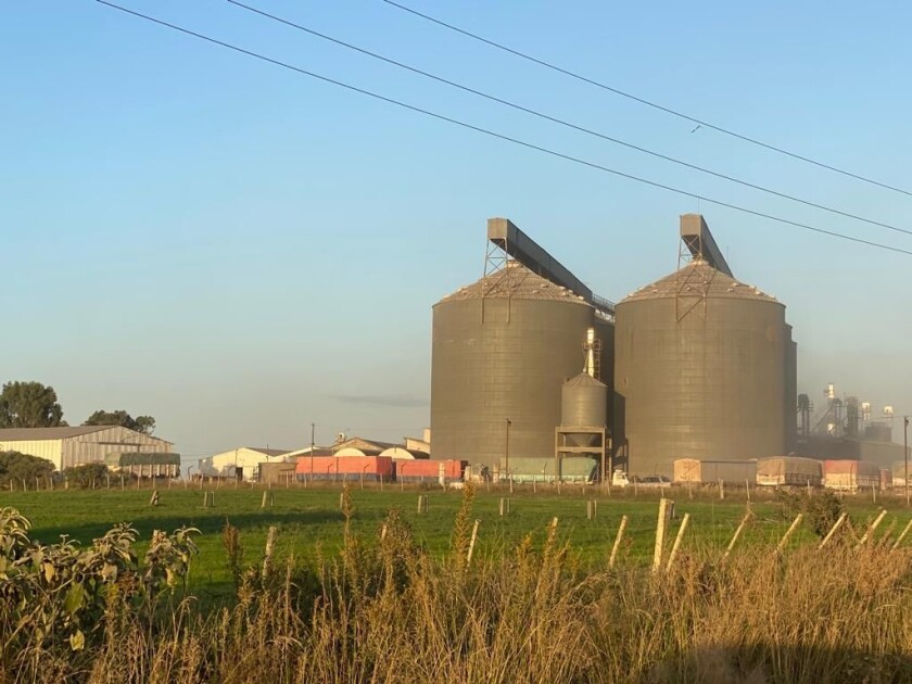 Molinos de arroz ok.jpg