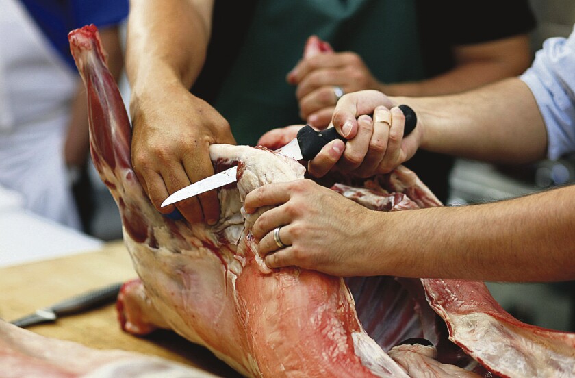CARNE