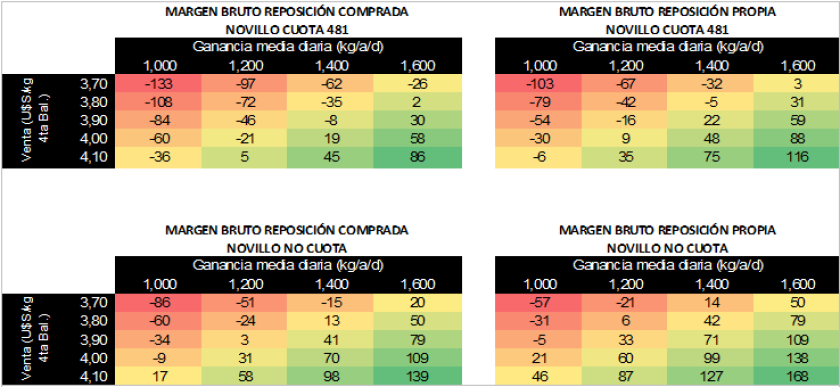 GRAFICO 5