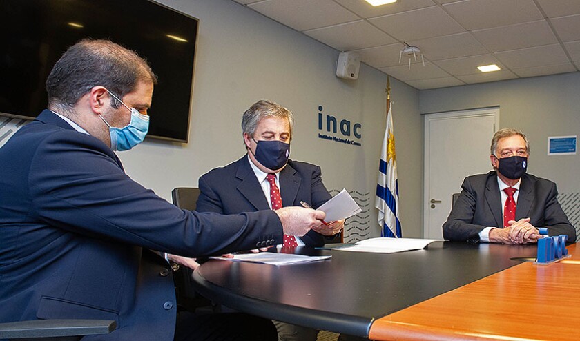 fcn-5-inac.jpg