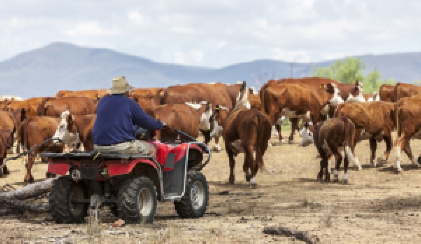 australia-ganaderia-ruralnet-300x174.png