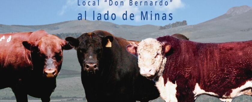 previa-toros-en-las-sierras.jpg