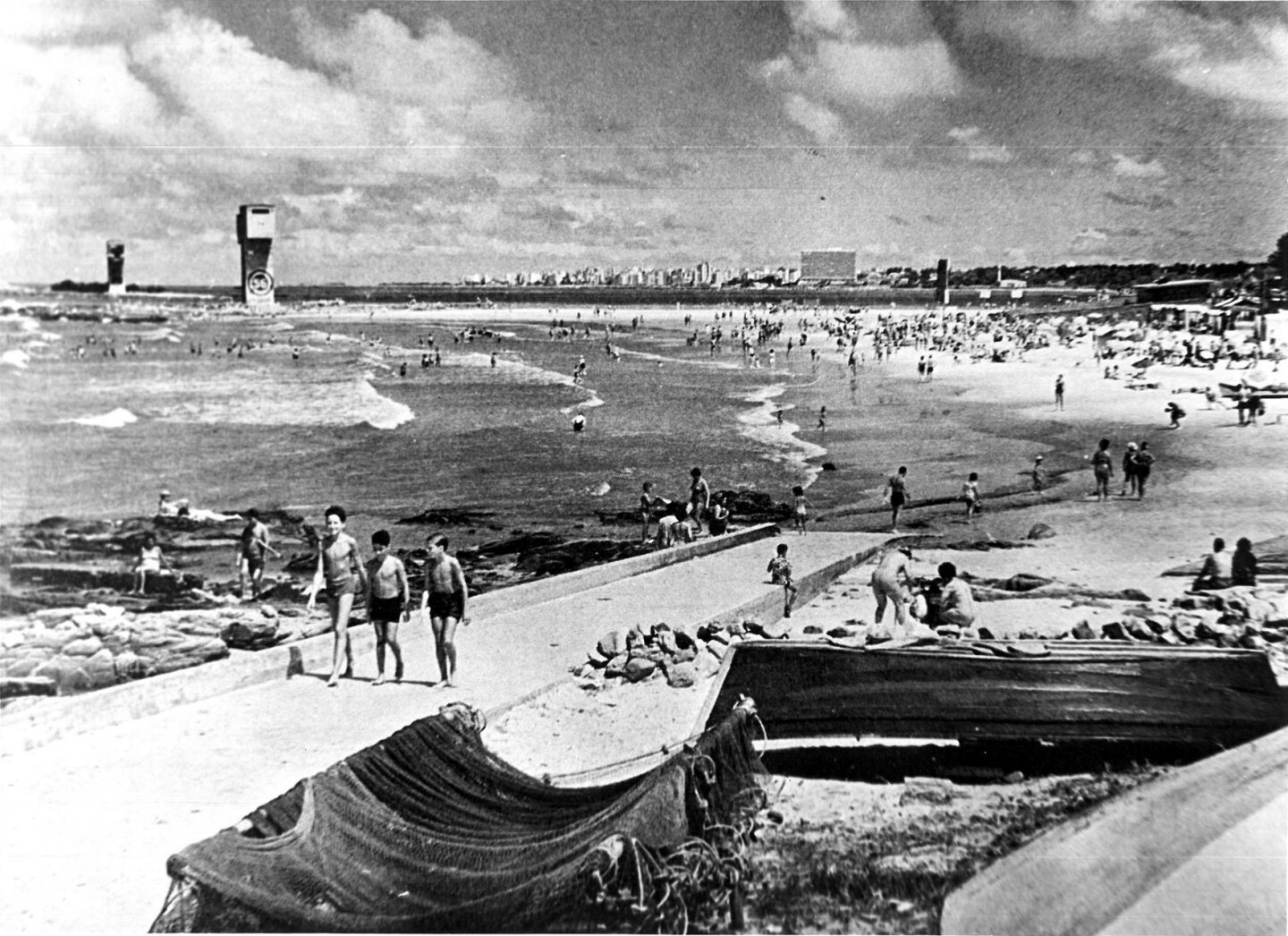 Una vecina desconocida la Isla de las Gaviotas esconde riqueza natural