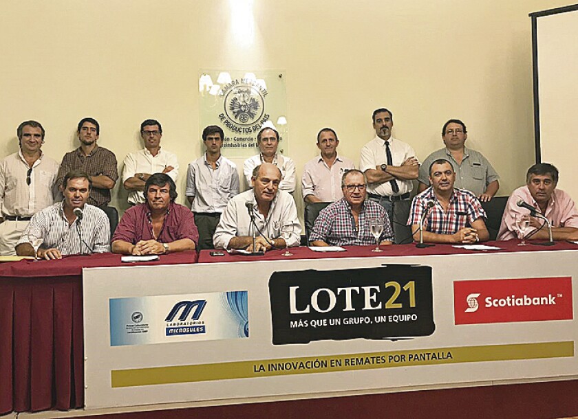 imagen-foto-lote-21.jpg