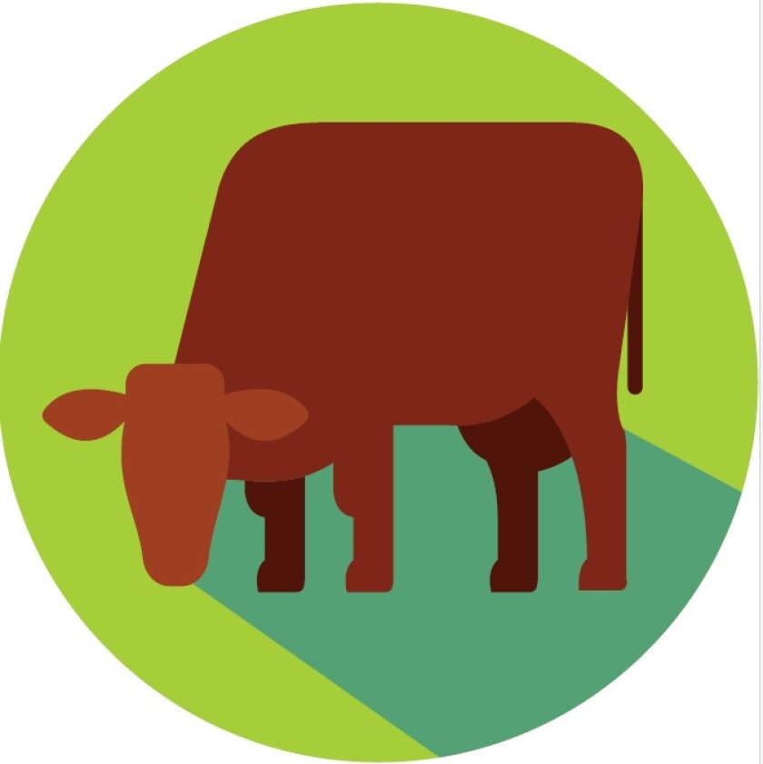 Agro para principiantes vacunos