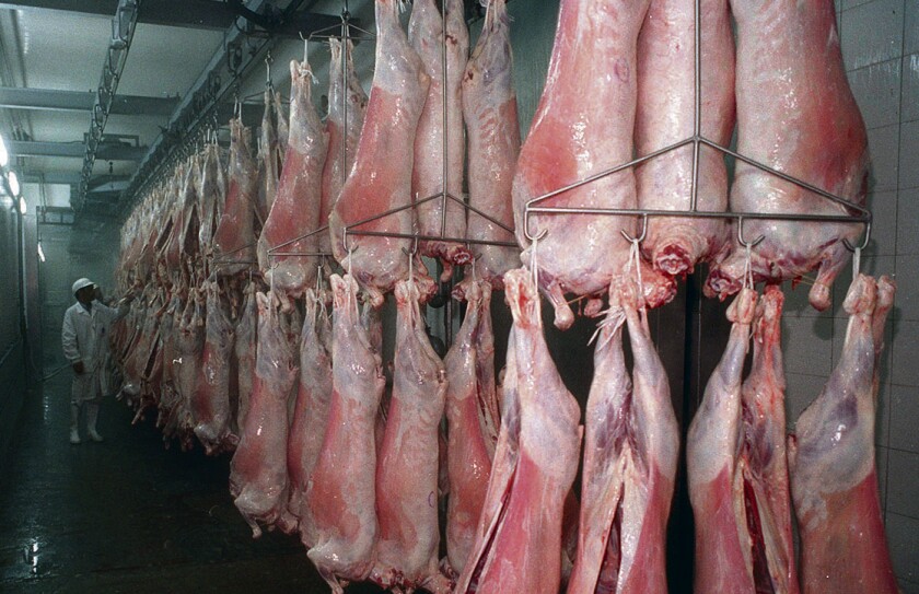 Carne