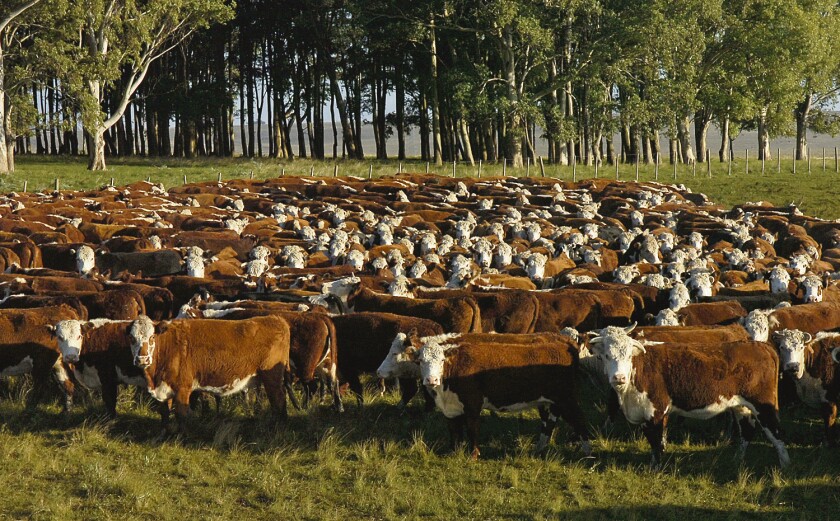 Rurales - El País.