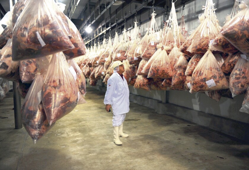FRIGORIFICO MARFRIG PRODUCTOR DE CORNED BEEF EN URUGUAY, GENTE TRABAJANDO, CARNE VACUNA Utilidad. "Se aprovecha todo de la vaca, menos el mugido".¶