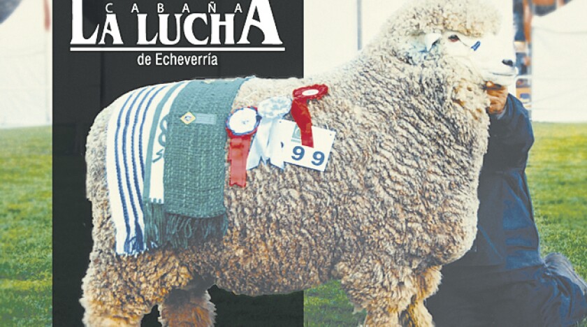 la-lucha.jpg