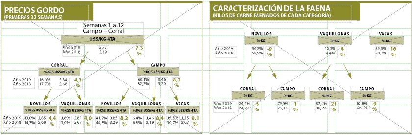 grafica-1-apeo.jpg