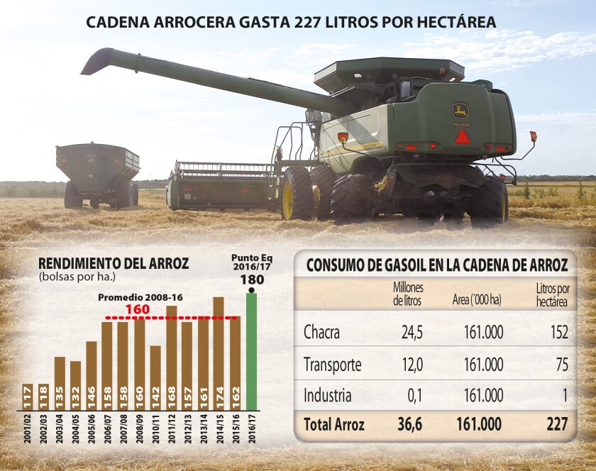 combustible-y-arroz.jpg