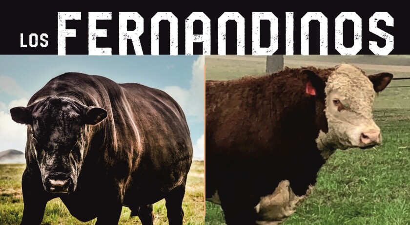 Fernandinos.jpg