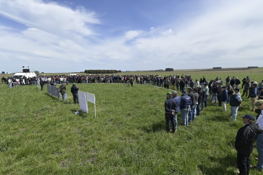 Pasturas 2022