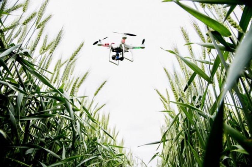 drone-en-el-campo-agricultura-610x406.jpg