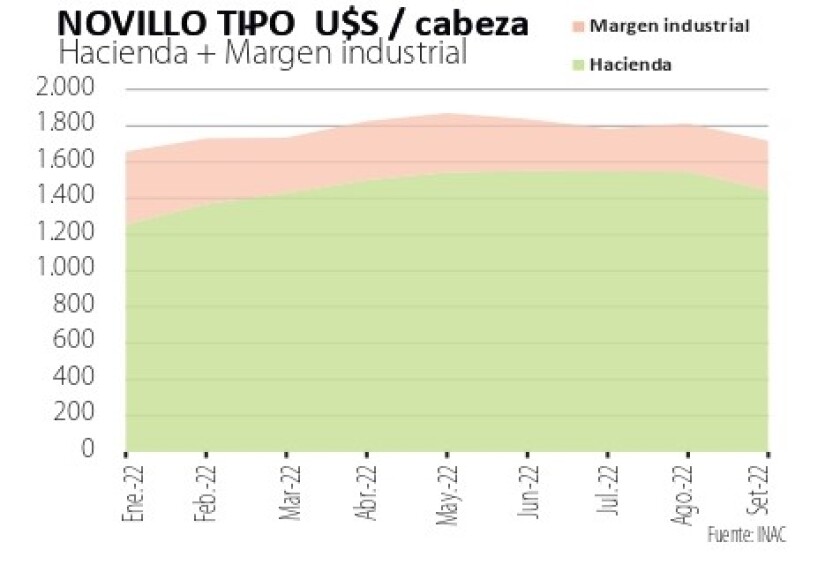 novillo tipo.jpg