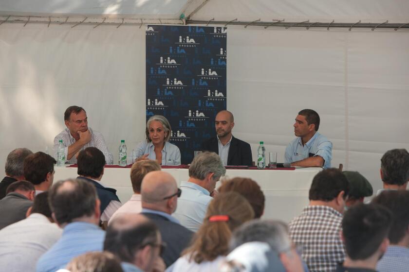Investigación. Baethgen, Navajas, Velazco y Soares de Lima.
