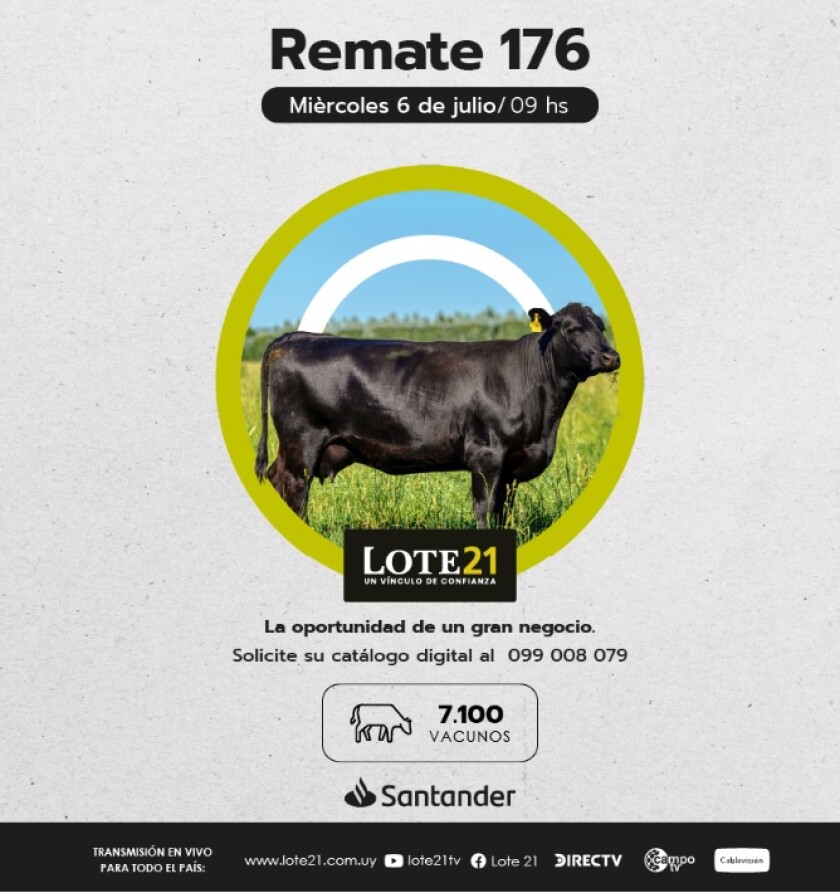 Previa Lote 21.jpg